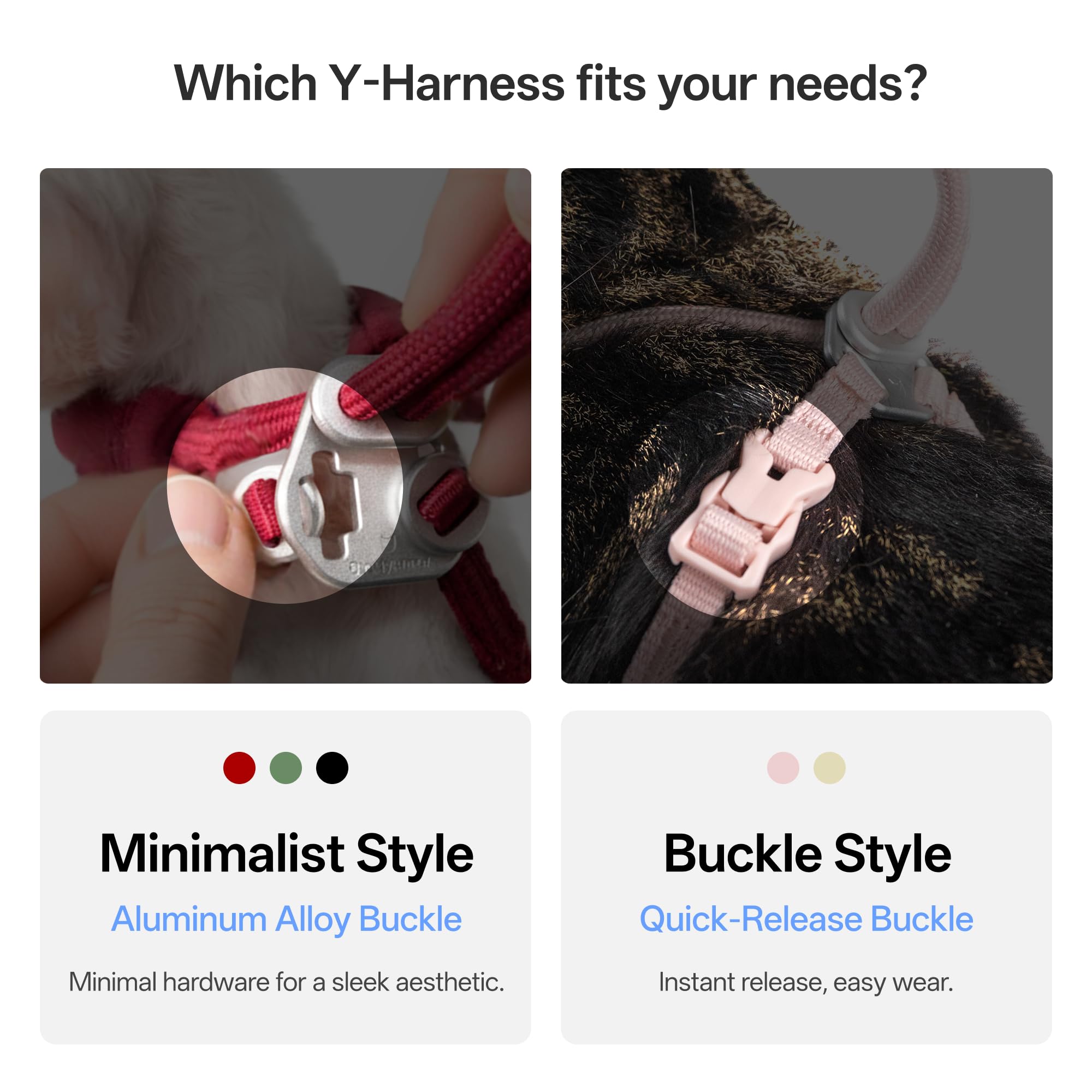 BuddyArmor emballage et étiquette qualité prête à l'envoi