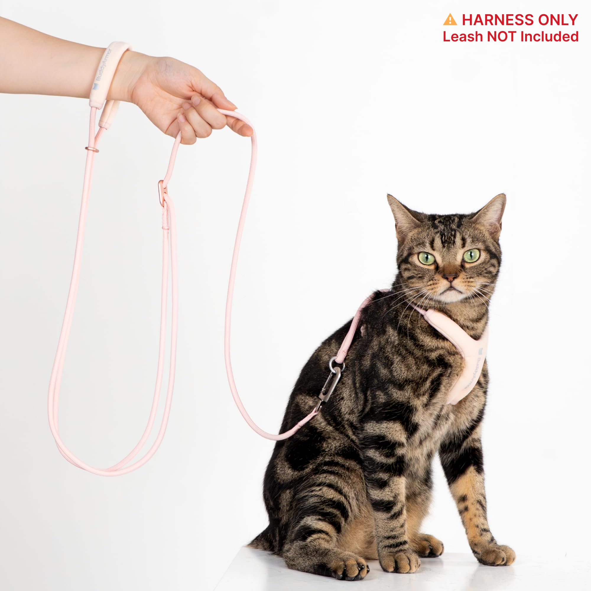 BuddyArmor harnais porté par chat en extérieur pour promenades sereines