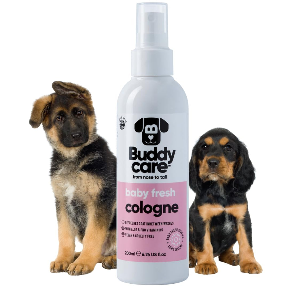 Buddycare flacon 200 ml face avant montrant design pratique et bénéfice fraîcheur
