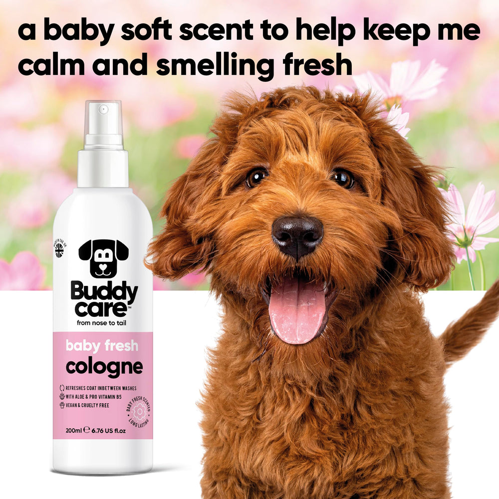 Buddycare brume sur pelage illustrant texture légère et effet non gras