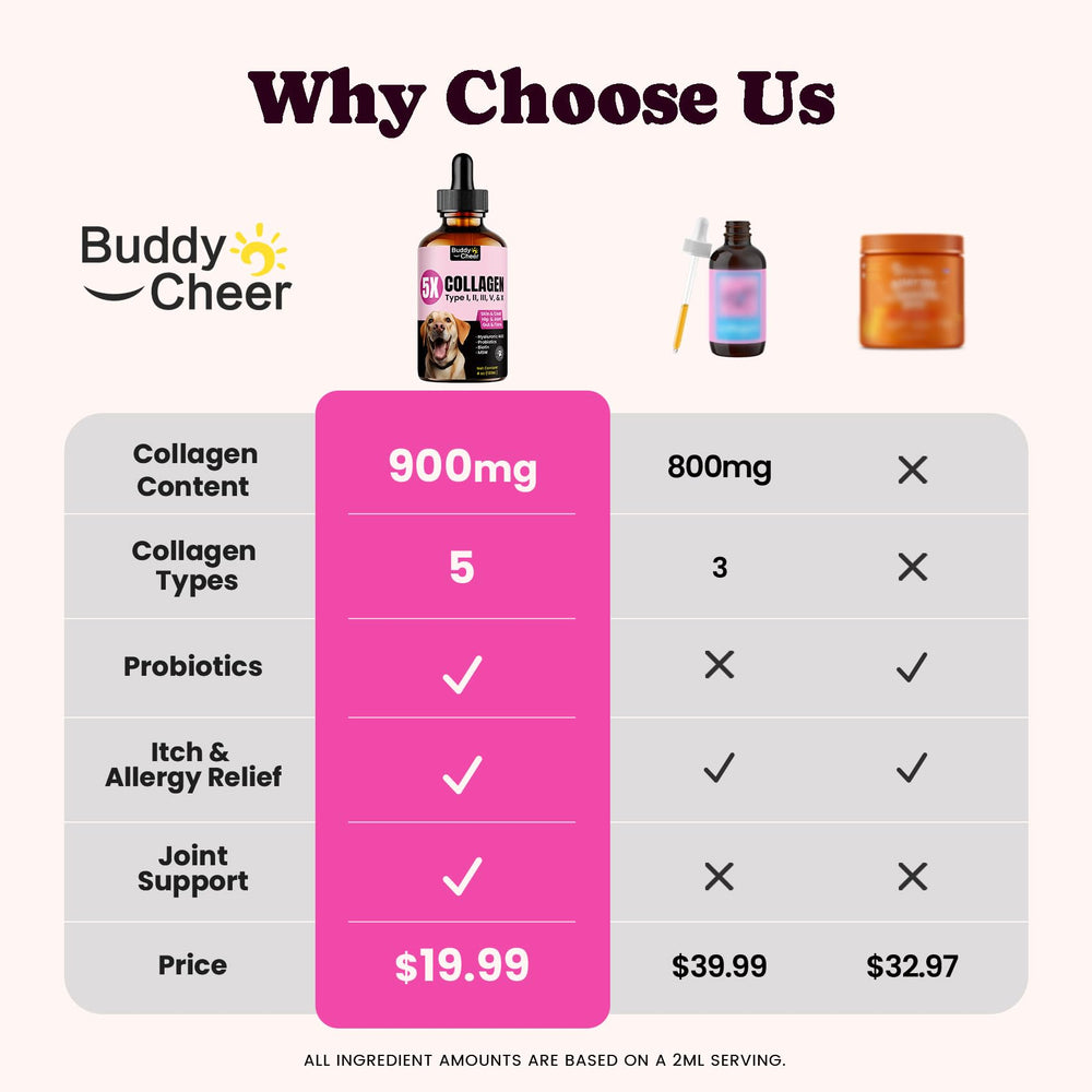 BuddyCheer étiquette gros plan indiquant 5 types de collagène et avantages
