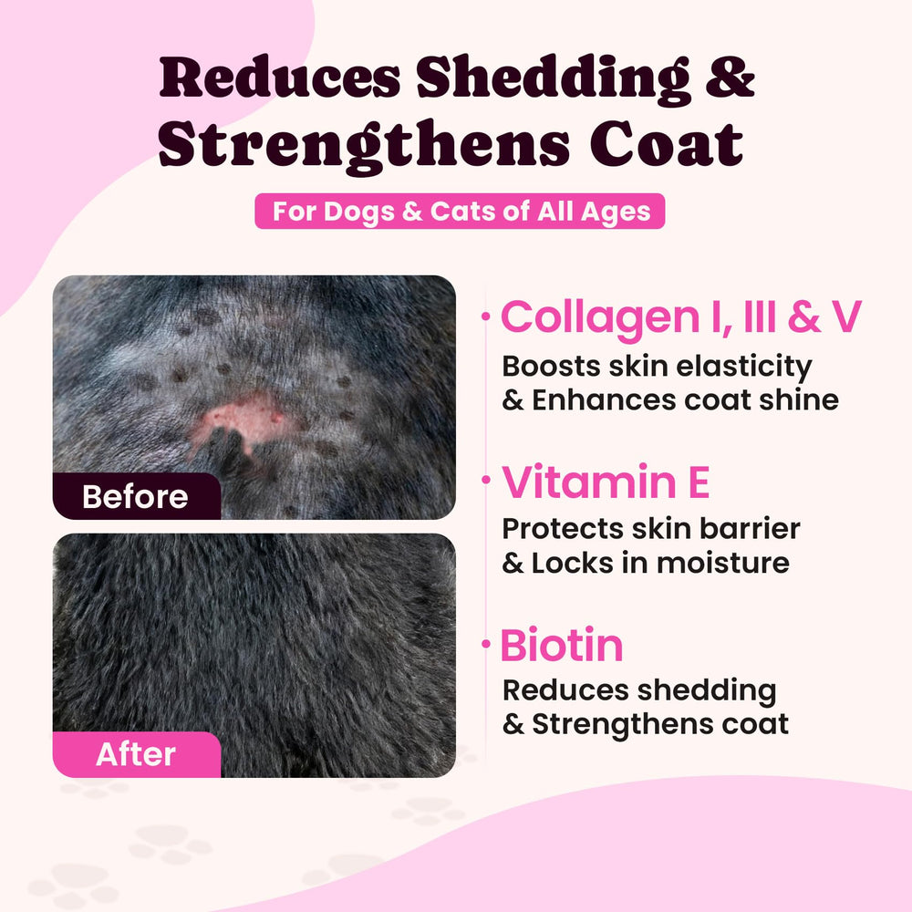 BuddyCheer texture liquide détail montrant consistance absorbable et appétence