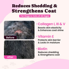 BuddyCheer texture liquide détail montrant consistance absorbable et appétence