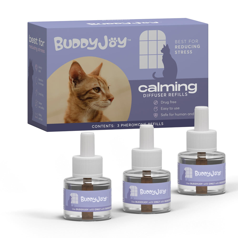 BUDDYJOY flacon avant emballage montrant le design et l’ouverture sûre