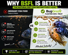 BugGraze friandise flottant en aquarium stimulant comportement naturel