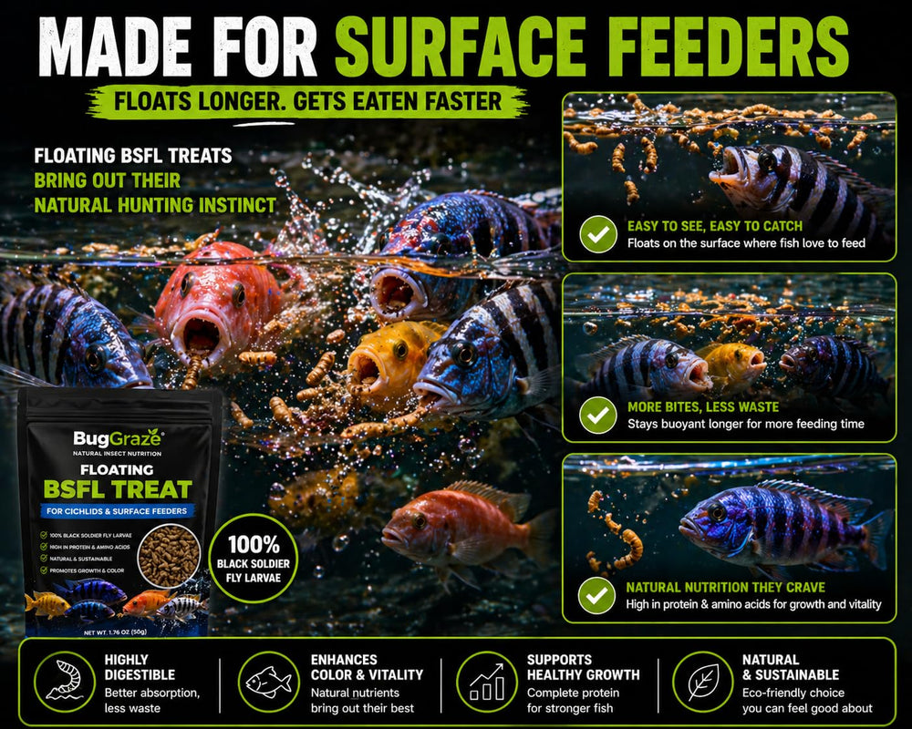 BugGraze comparaison taille 3 oz pour estimer durée et portions