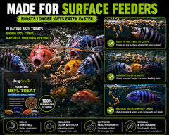 BugGraze comparaison taille 3 oz pour estimer durée et portions