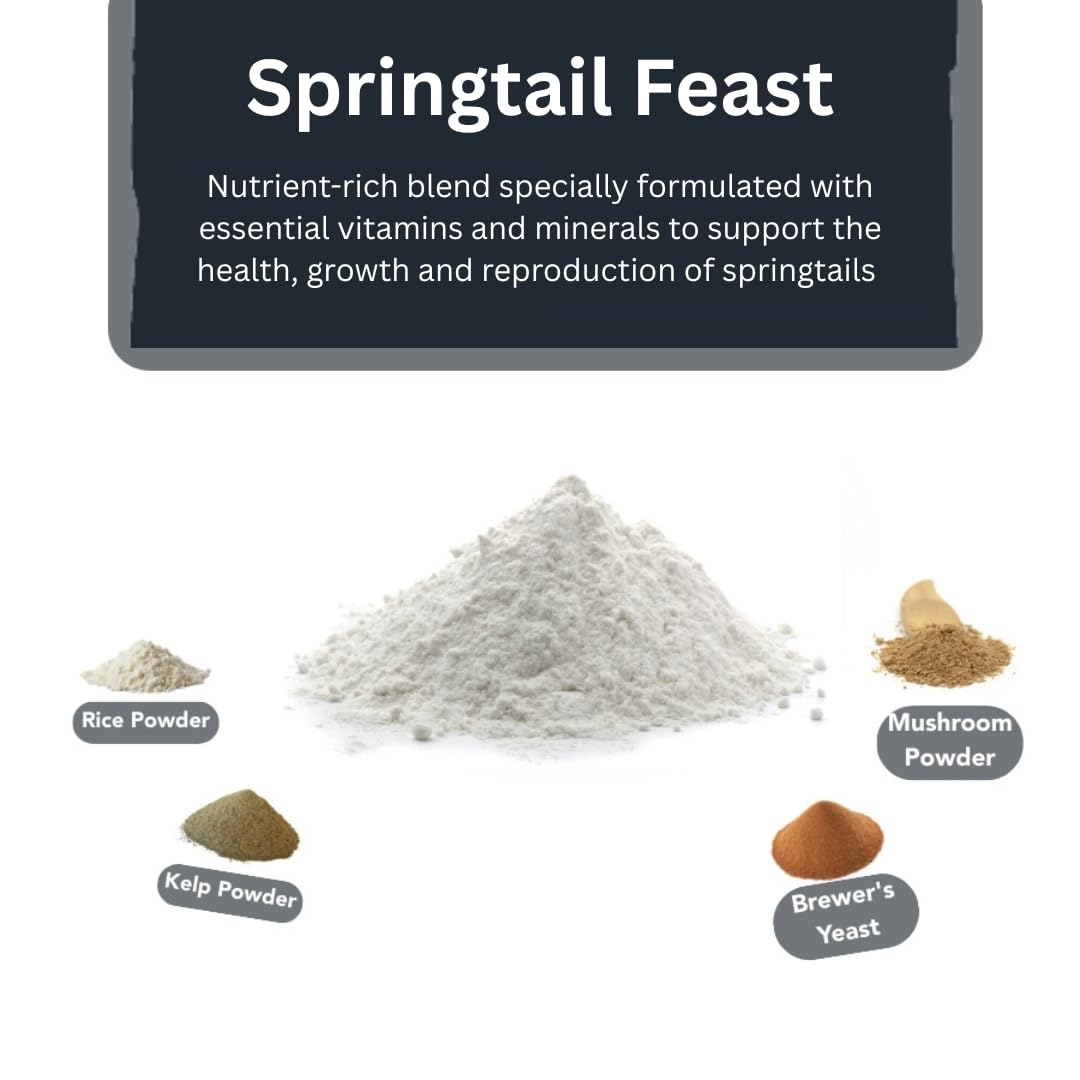 Bugzy Bugs comparatif taille cuillère pour dosage précis et contrôle de portions