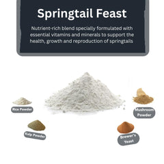 Bugzy Bugs comparatif taille cuillère pour dosage précis et contrôle de portions