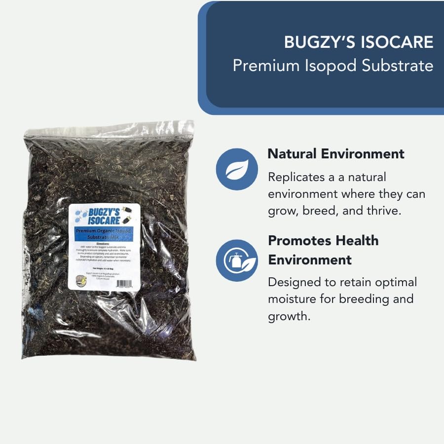 Bugzy Bugs comparaison de taille 4 quarts près d'une main, permet évaluer quantité