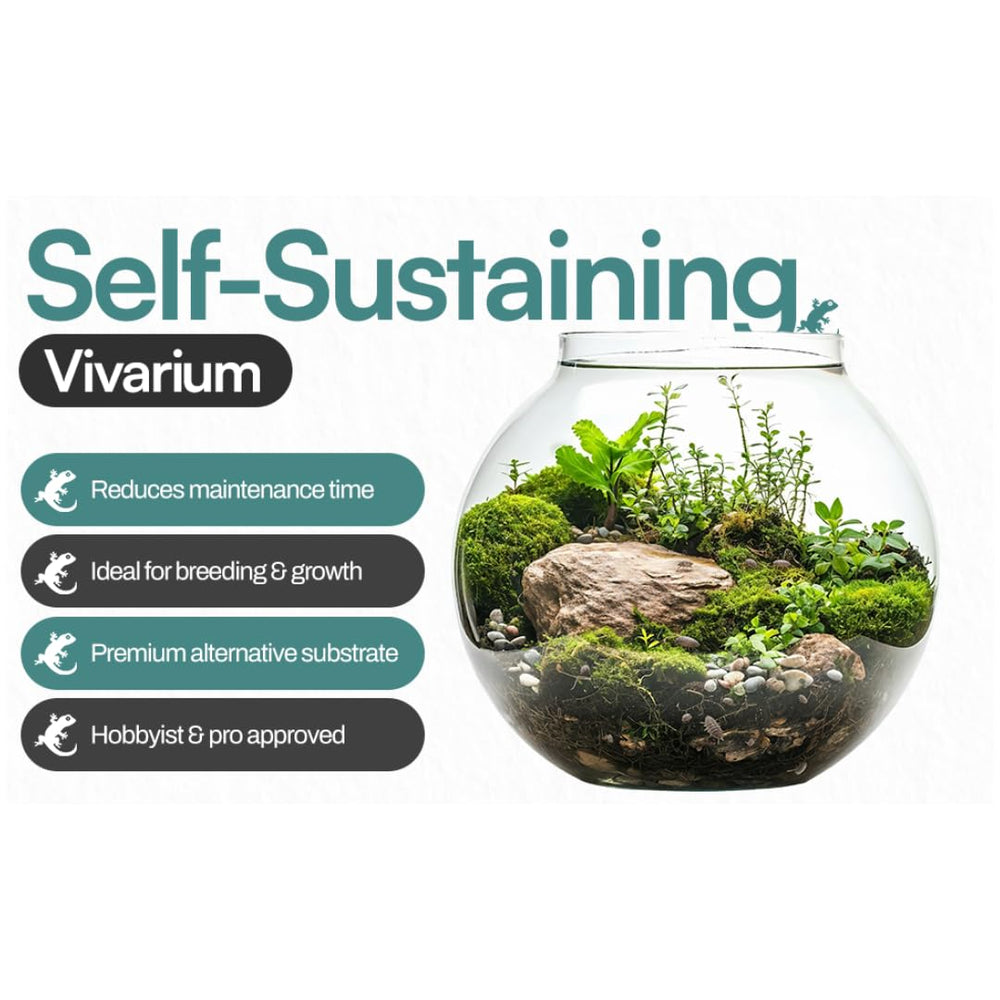 Bugzy Bugs main versant le substrat dans un terrarium, facilite la mise en place