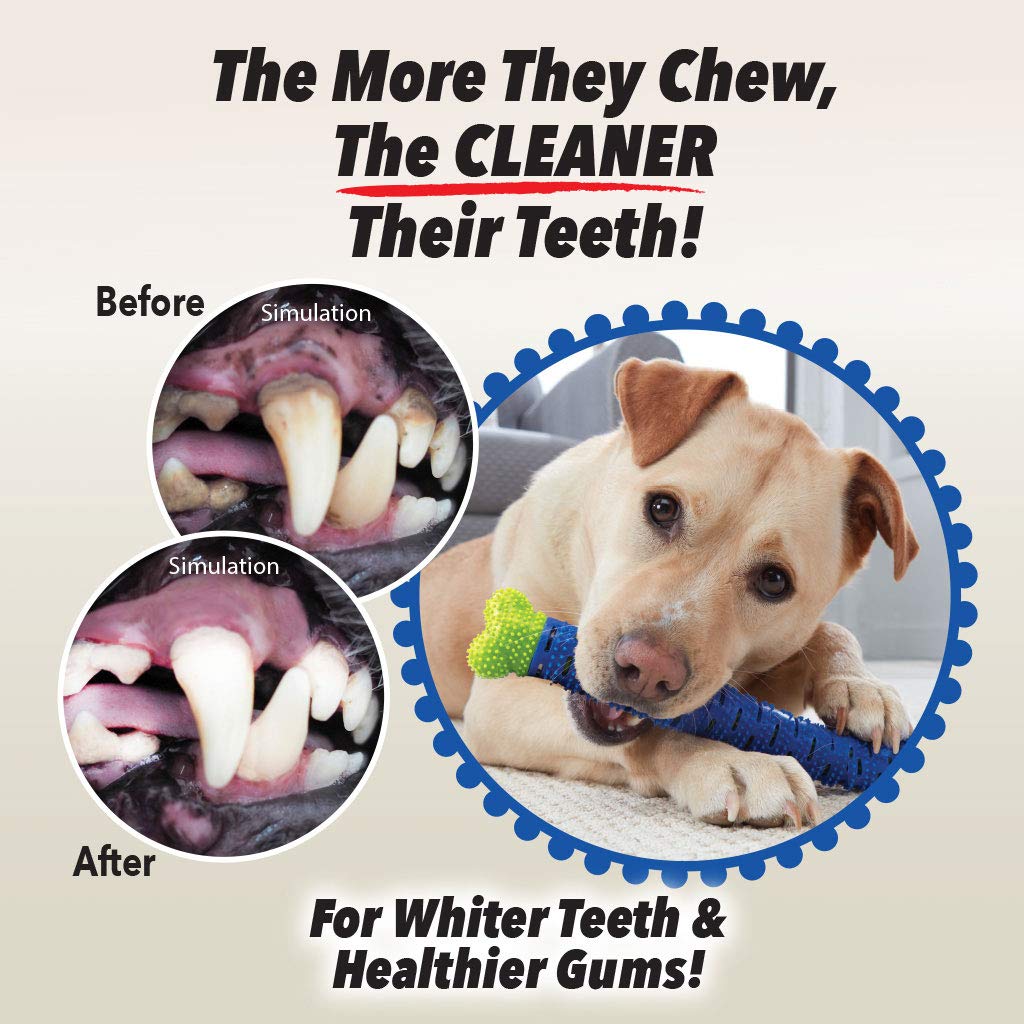 BulbHead Chewbrush comparaison taille avec main pour évaluer dimension