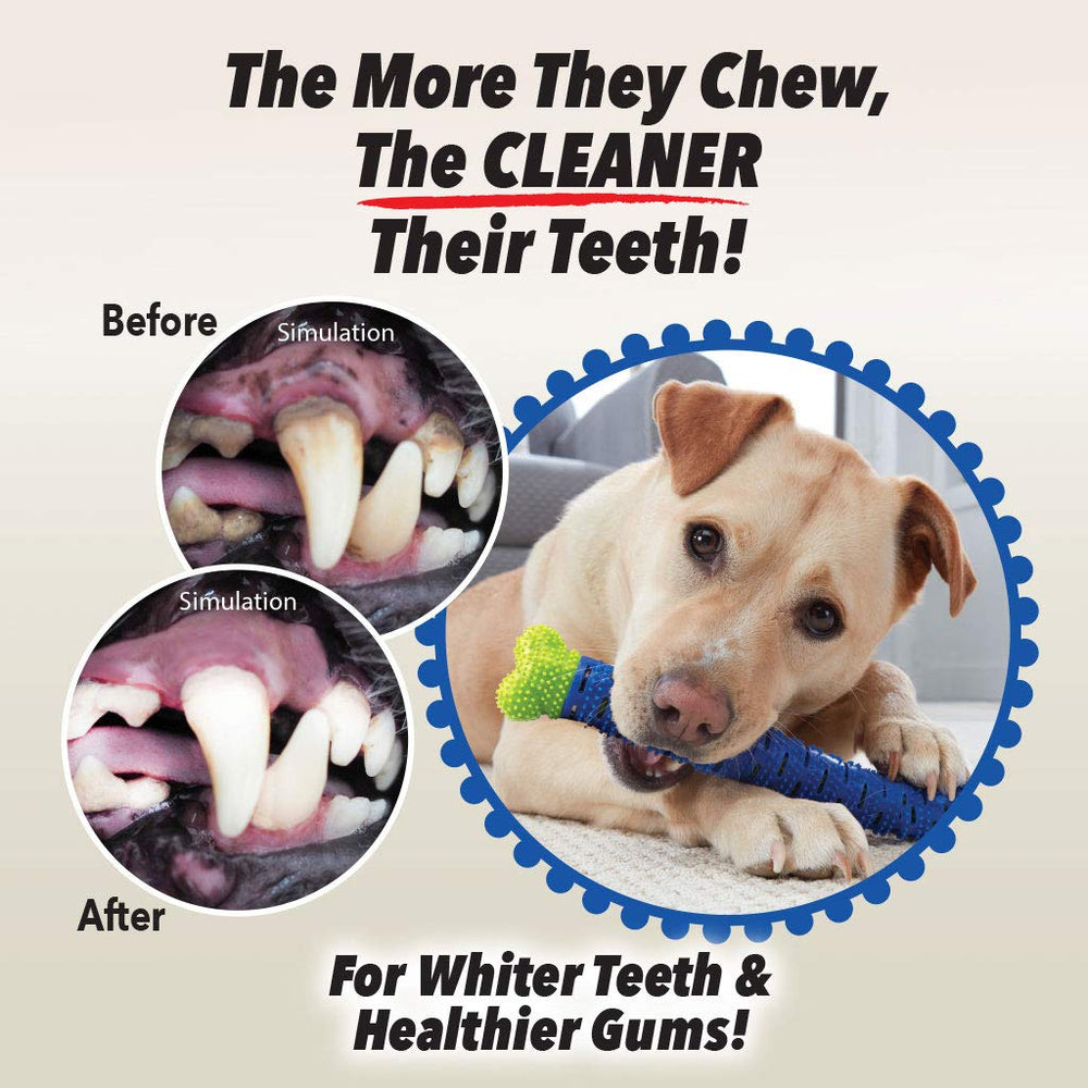 BulbHead Chewbrush comparaison taille avec main pour évaluer dimension