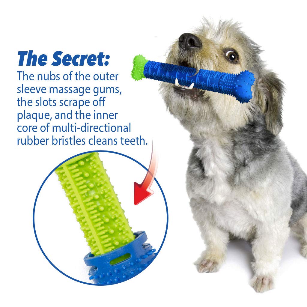 BulbHead Chewbrush en usage chien mastique pour hygiène dentaire ludique