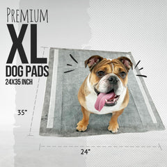 Bulldogology gros plan charbon actif absorbant, neutralisation des odeurs efficace