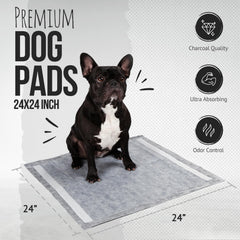 Bulldogology gros plan sur les 6 couches montrant absorption rapide