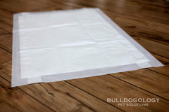 Base adhésive Bulldogology pour maintien ferme et stabilité sur sol