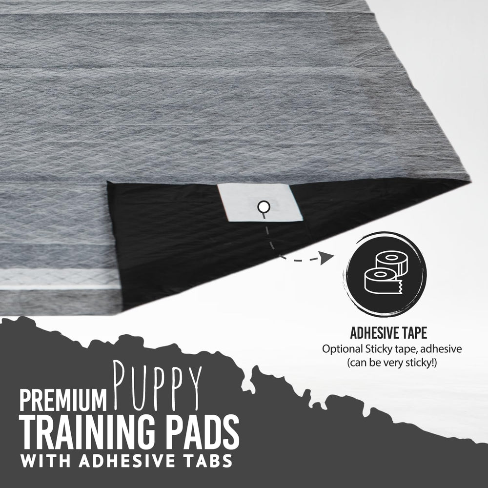 Bulldogology chiot utilisant le tapis, apprentissage propre et sans stress