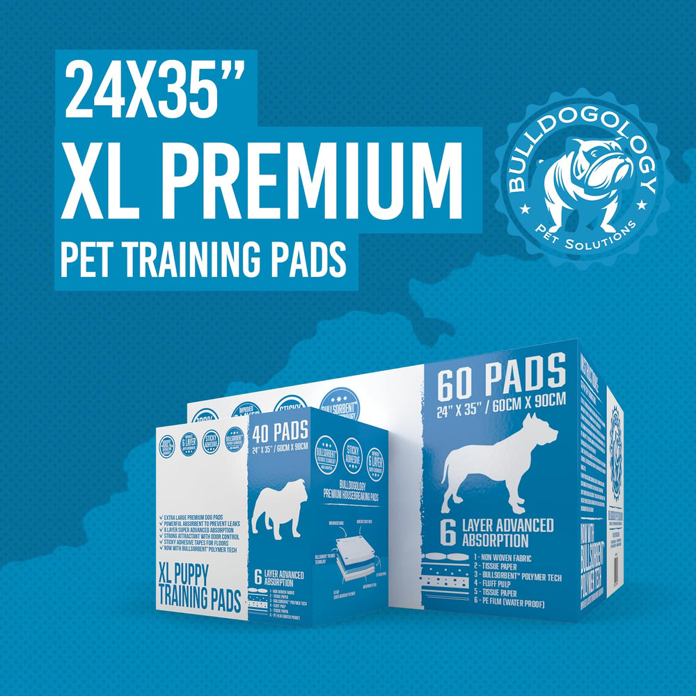 Paquet Bulldogology 60 unités montrant stockage pratique et rotation