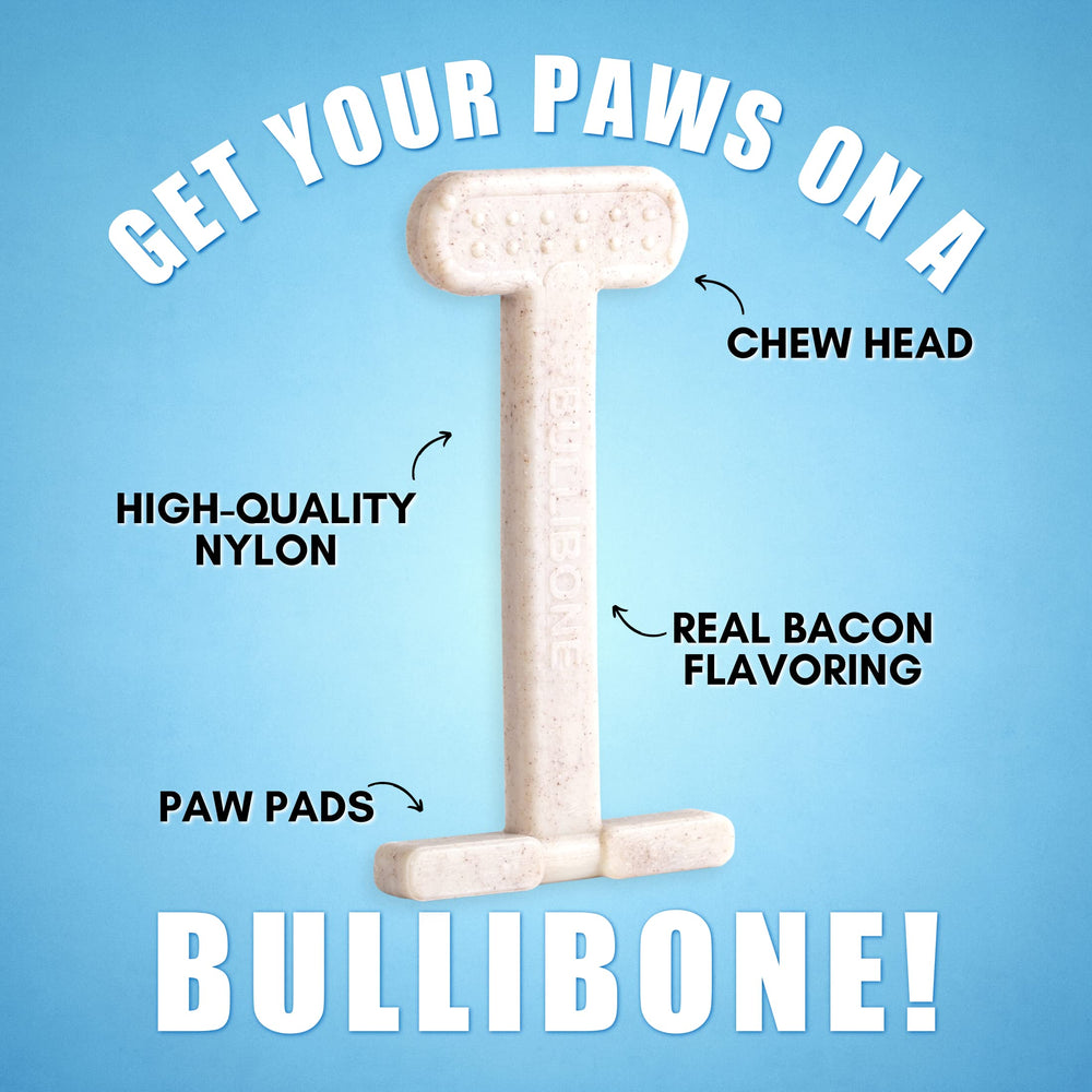 Bullibone chiot mordant l'os durable pour évacuer l'énergie