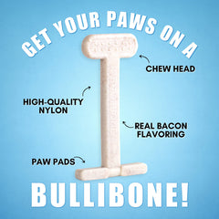 Bullibone chiot mordant l'os durable pour évacuer l'énergie