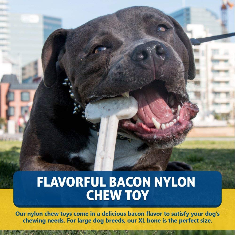 Bullibone chiot tenant jouet encourage mastication sûre
