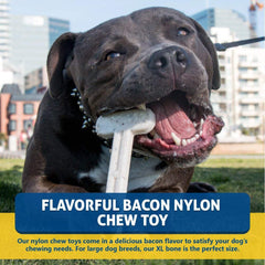 Bullibone chiot tenant jouet encourage mastication sûre