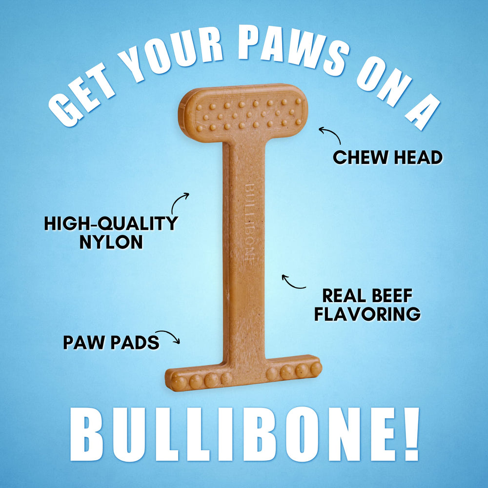 Bullibone os en usage avec une patte illustrant prise confortable