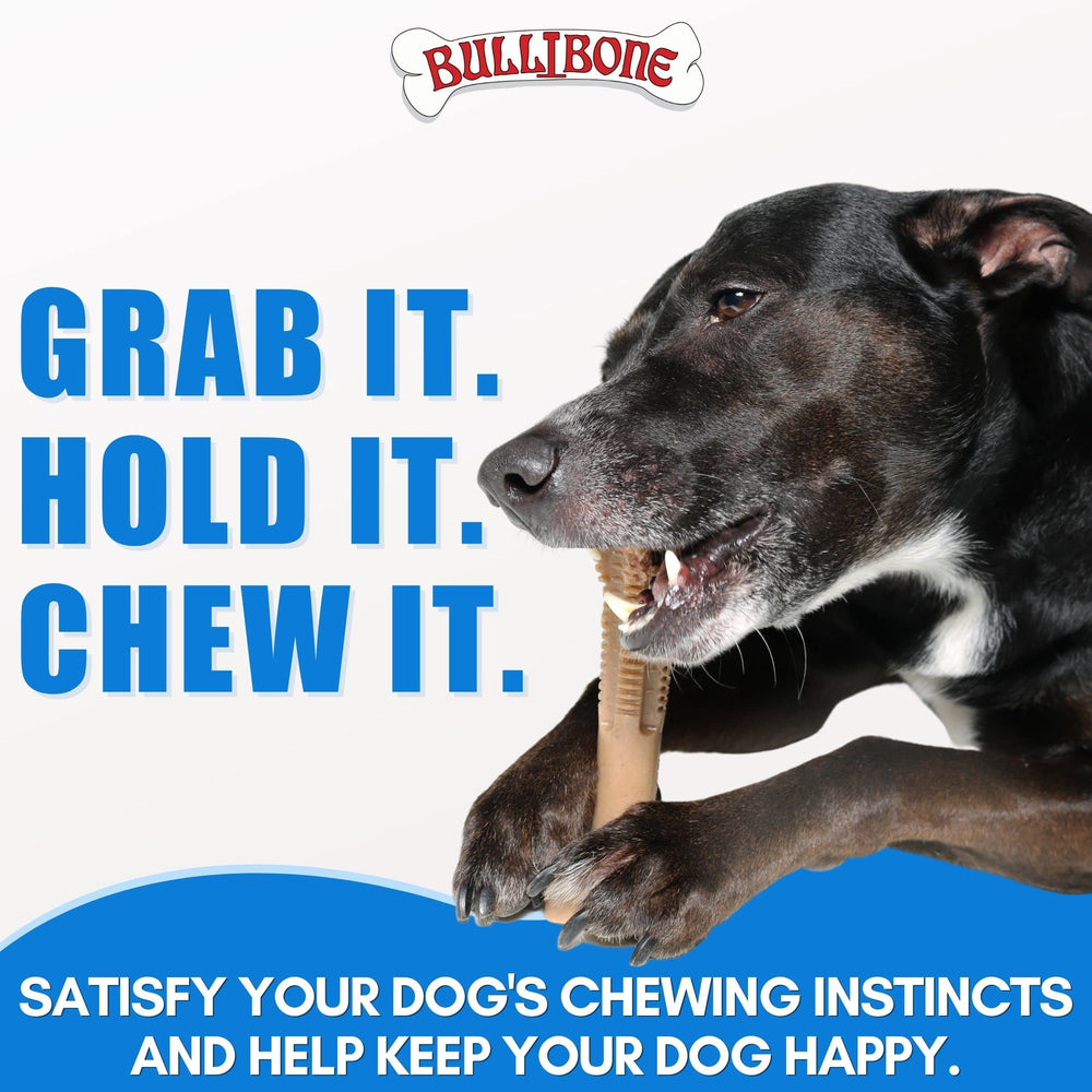 Scène extérieure lifestyle montrant un chien content utilisant le Bullibone SuperBrush dans le jardin