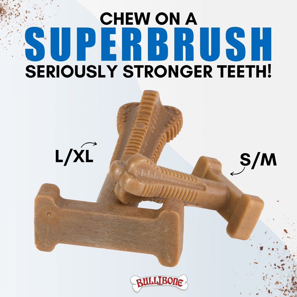 Comparaison d'échelle Bullibone SuperBrush à côté d'une règle pour évaluer la taille pour grandes races