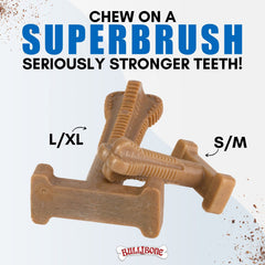 Comparaison d'échelle Bullibone SuperBrush à côté d'une règle pour évaluer la taille pour grandes races