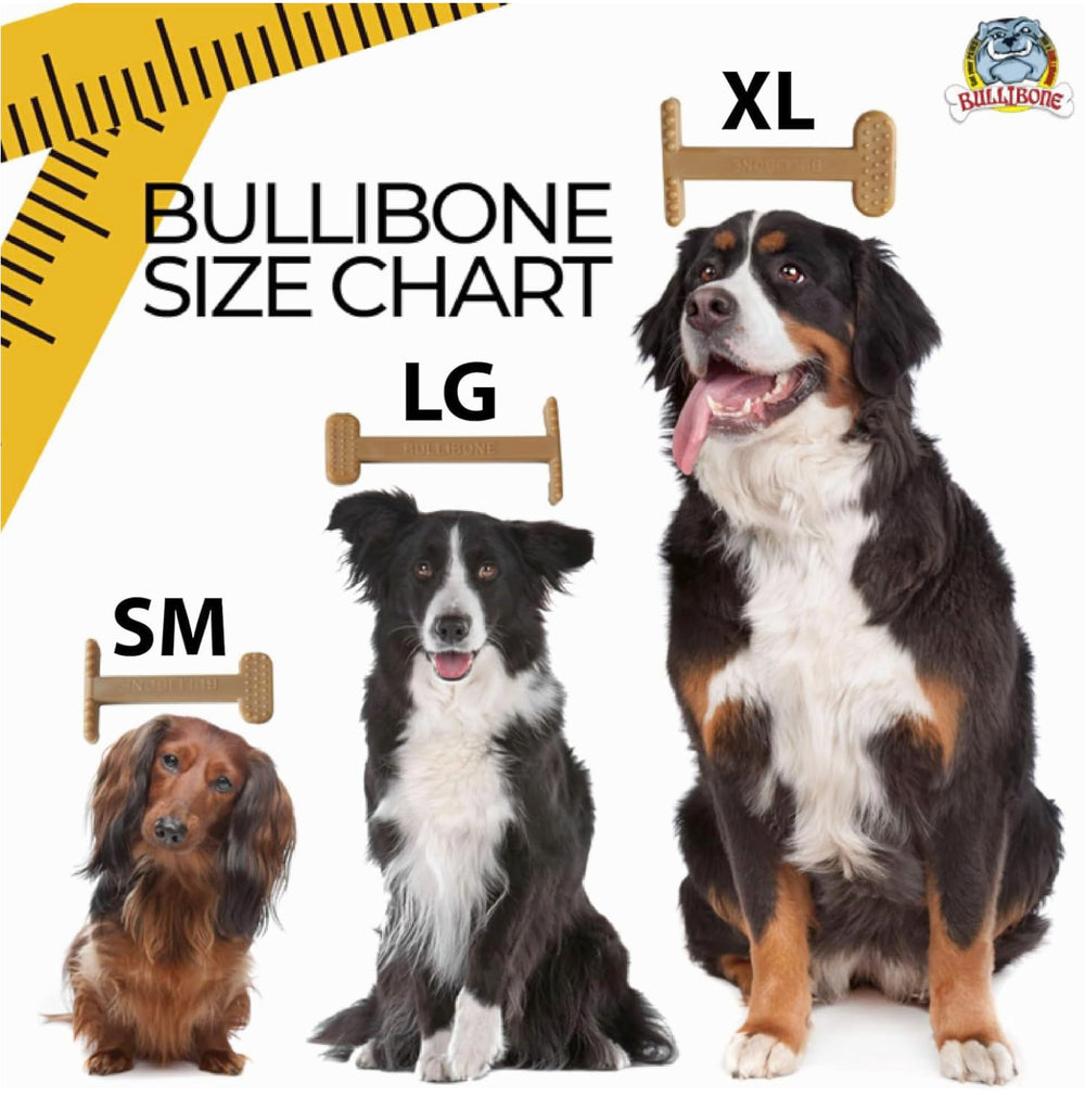 Bullibone surface sans résidu facile à nettoyer après mastication