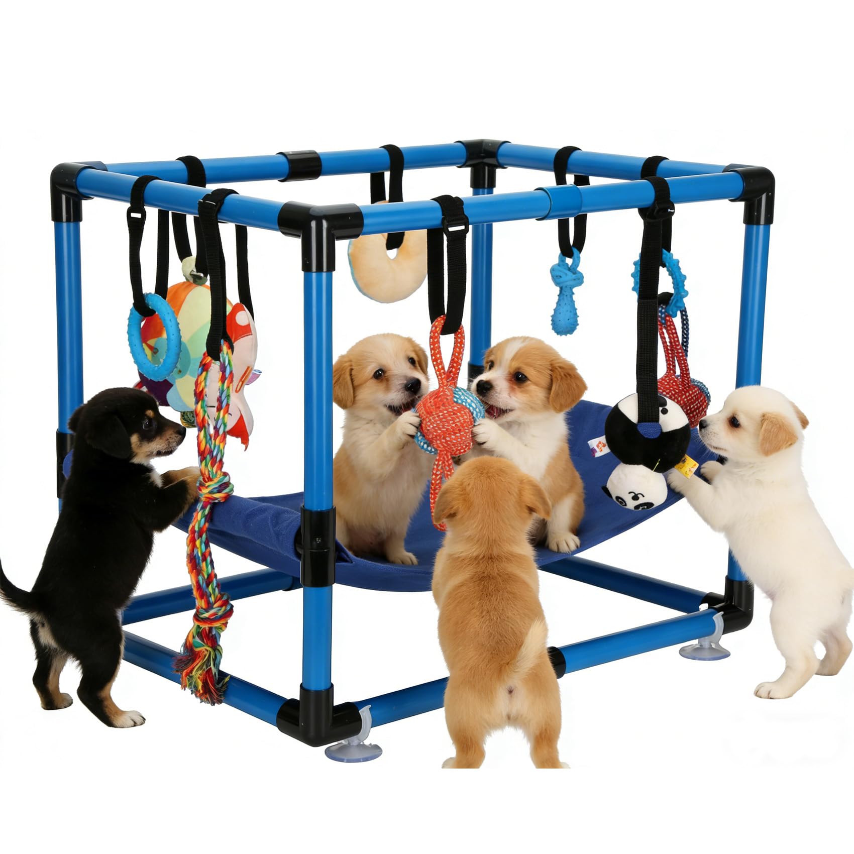 Bullro gym face avant montrant la structure compacte et amusante