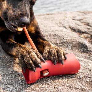 Bully Bunches gros plan sur la prise assurant maintien solide du bully stick