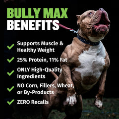 Bully Max croquettes dans la paume pour comparer taille et faciliter le service