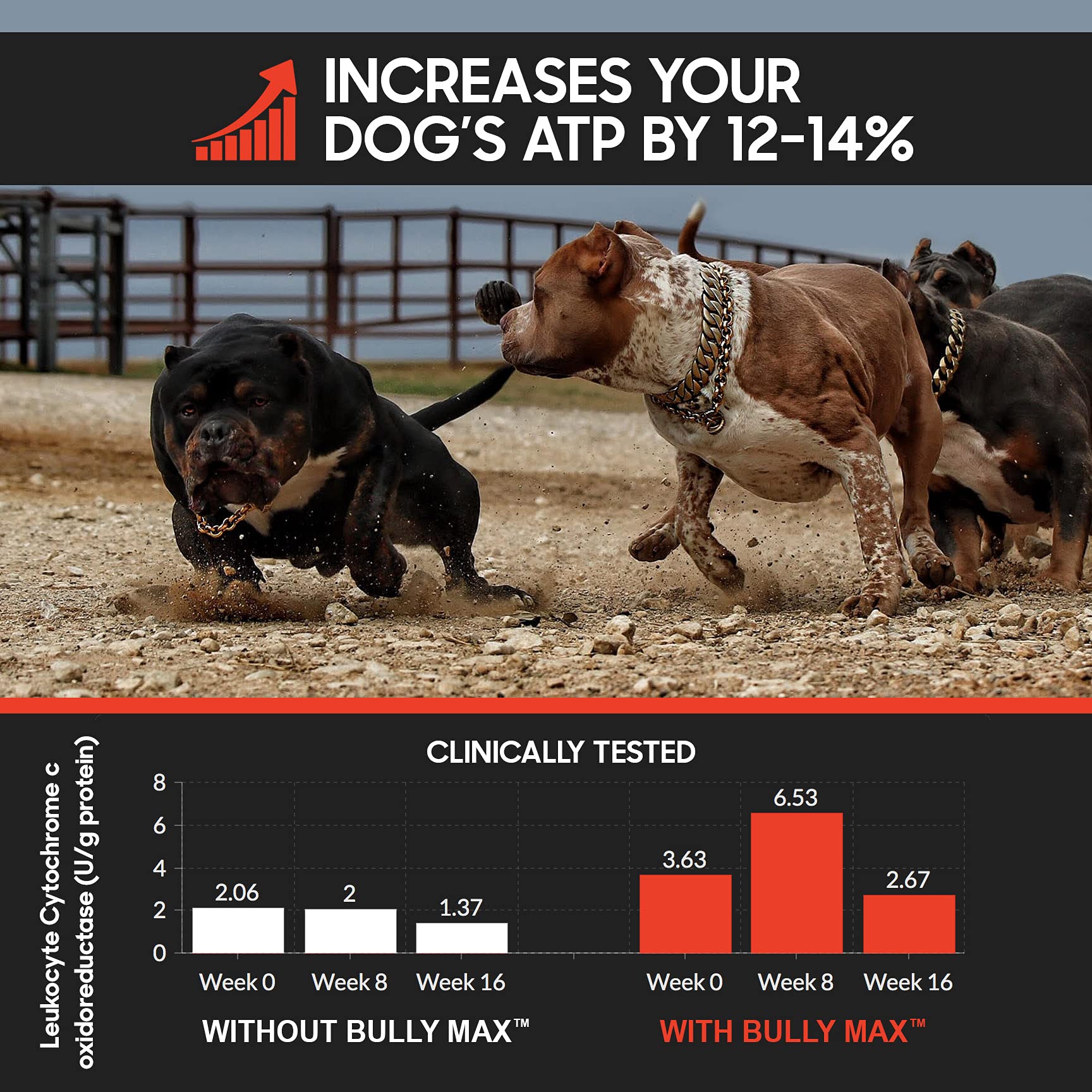 Bully Max bouteille comparée à main pour évaluer taille et dose pratique