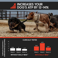 Bully Max bouteille comparée à main pour évaluer taille et dose pratique