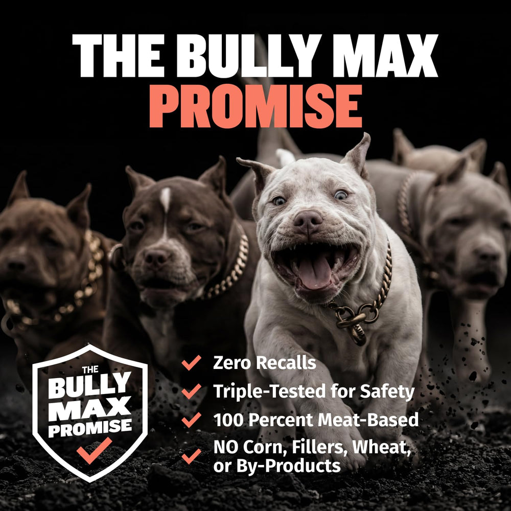 Bully Max chien prenant une bouchée, avantage : administration facile et appétente