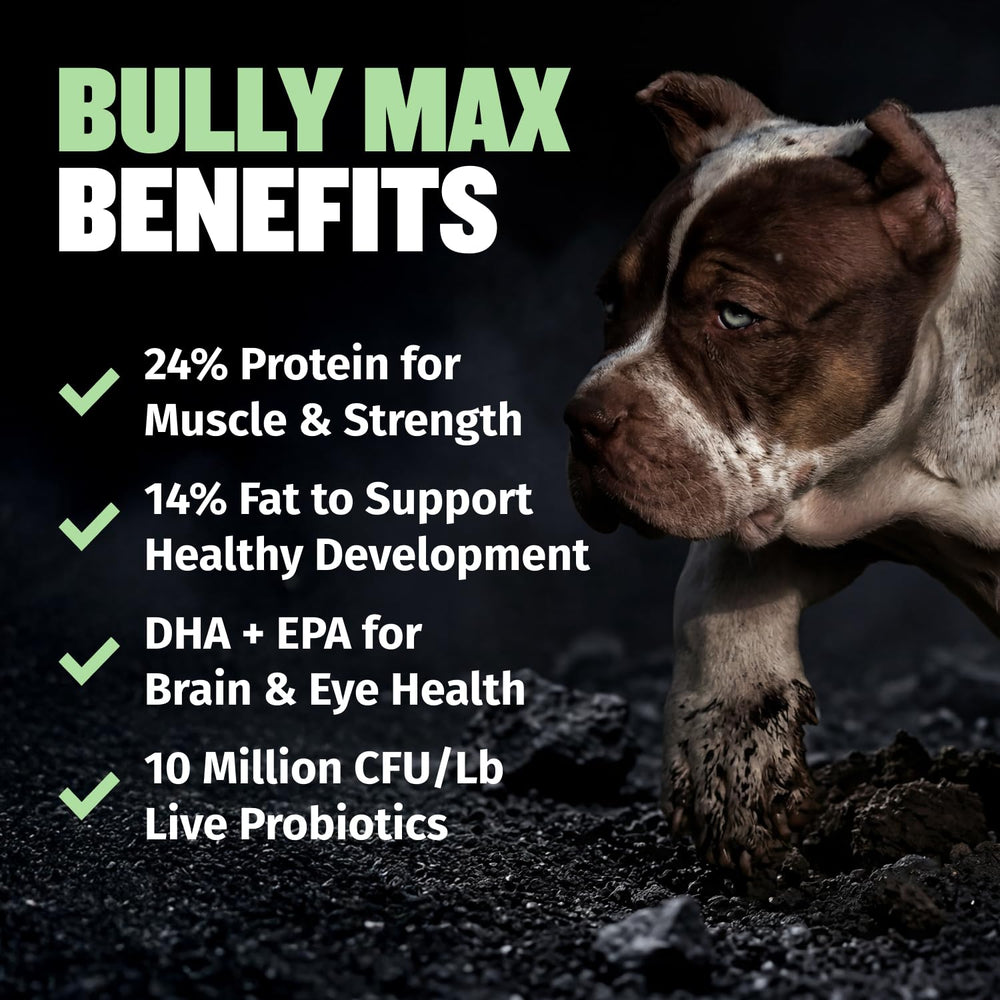 Comparaison taille des croquettes Bully Max dans la main pour visualiser portion