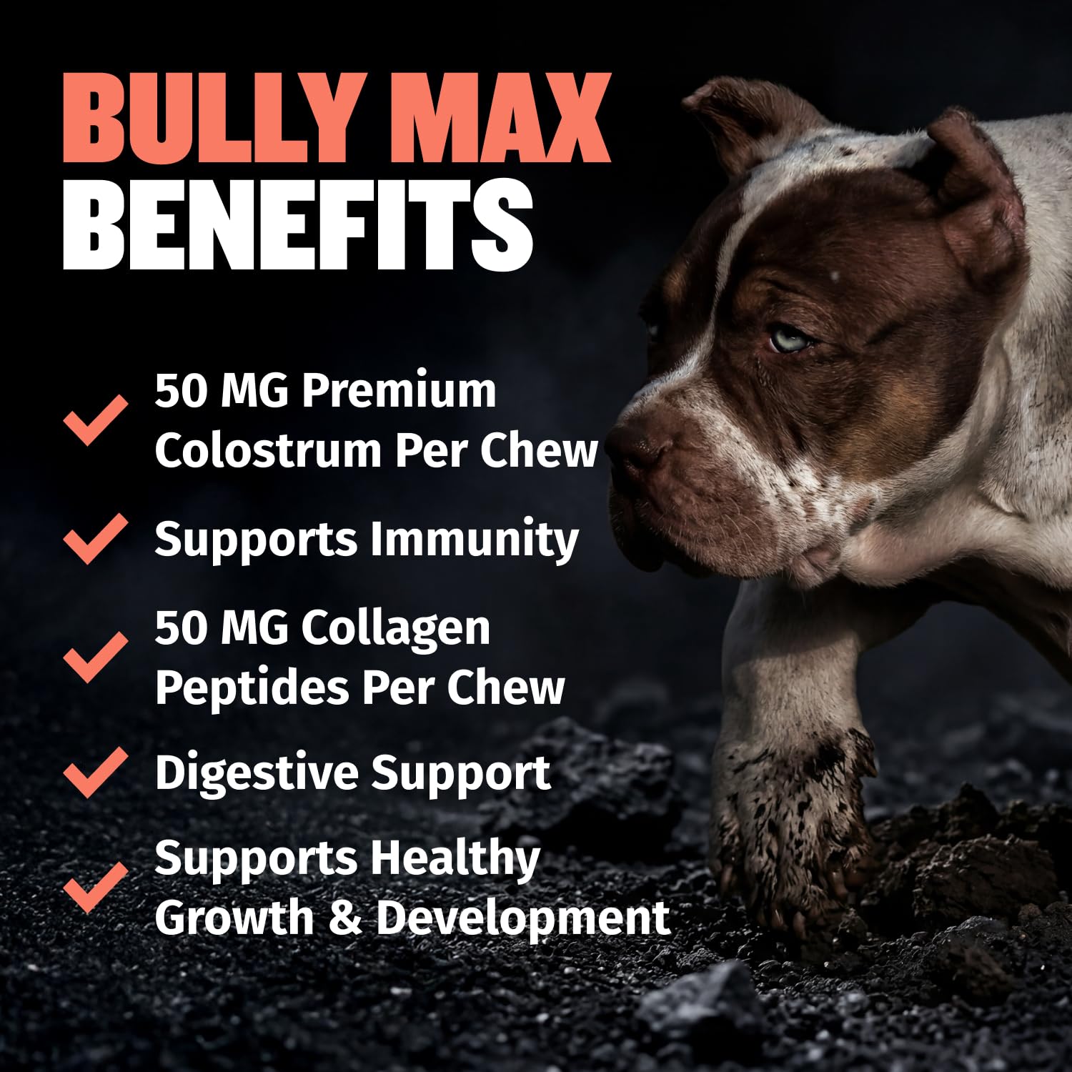 Bully Max comprimé gros plan soulignant l’aspect mastiquable et appétence