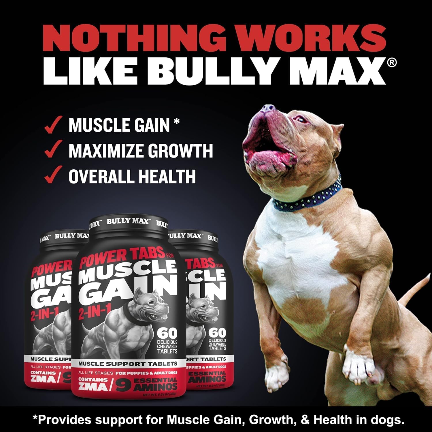 Bully Max comprimé gros plan illustrant appétence et sécurité