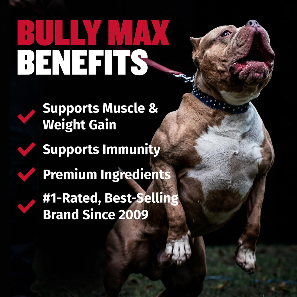 Bully Max comprimé gros plan illustrant texture et acceptation gustative