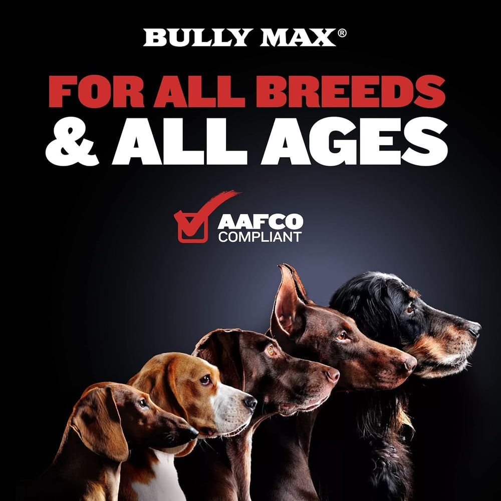 Bully Max donné au chien en récompense pour acceptation rapide