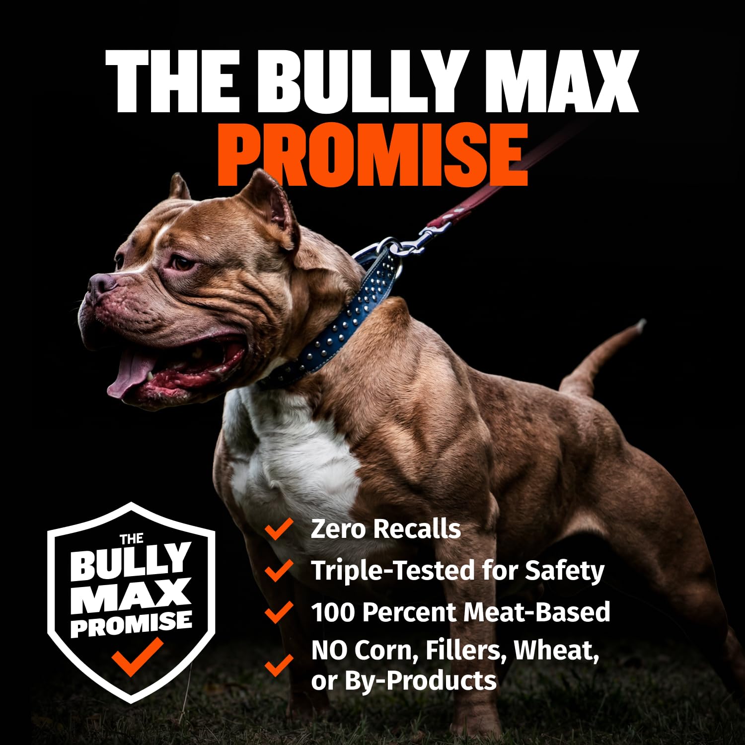 Bully Max étiquette nutritionnelle lisible montrant valeurs et bénéfice nutrition complète