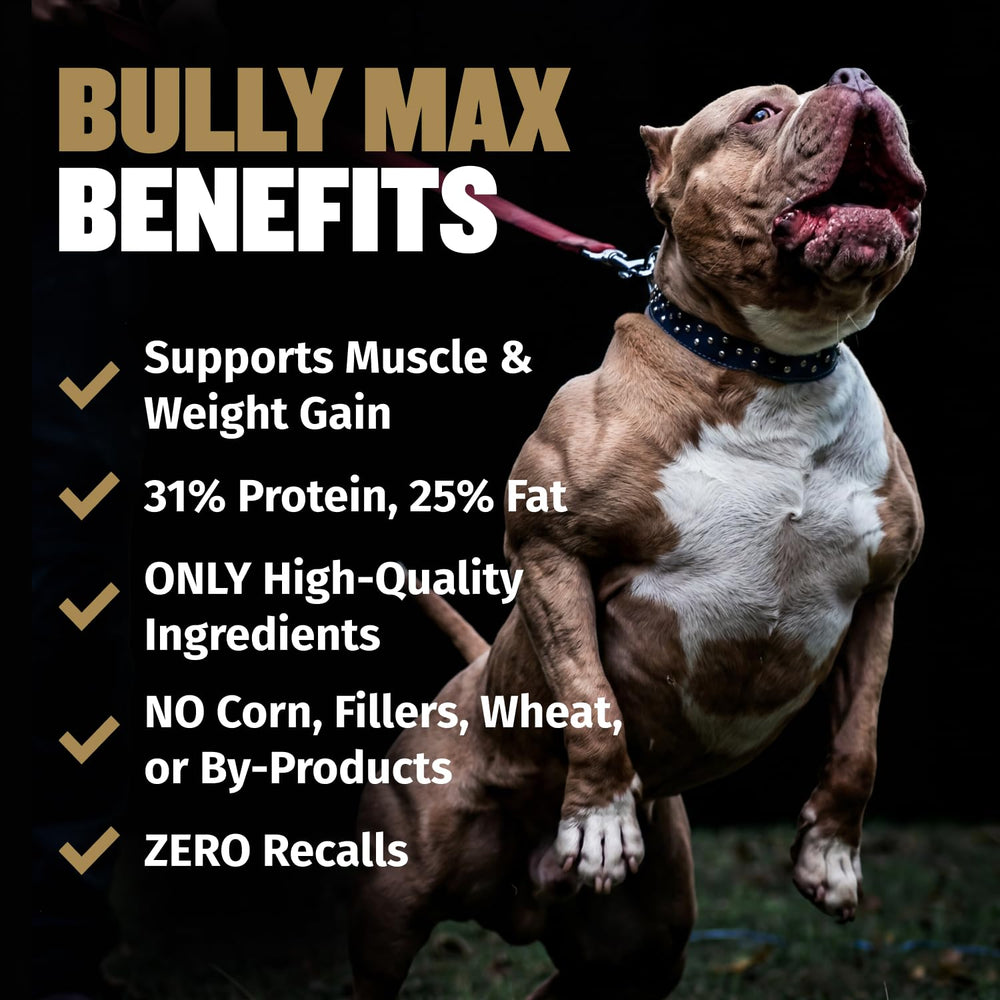 Bully Max croquettes dans la main pour comparaison de taille et dosage précis