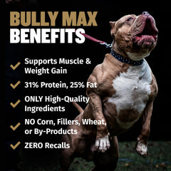 Bully Max croquettes dans la main pour comparaison de taille et dosage précis