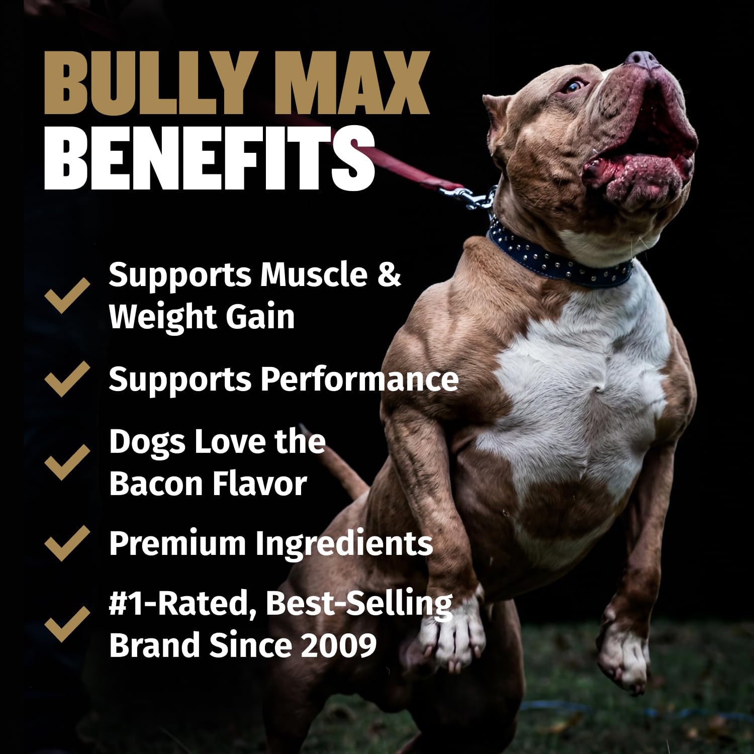 Bully Max gros plan sur la texture moelleuse d'un chew, facile à mâcher pour chiens