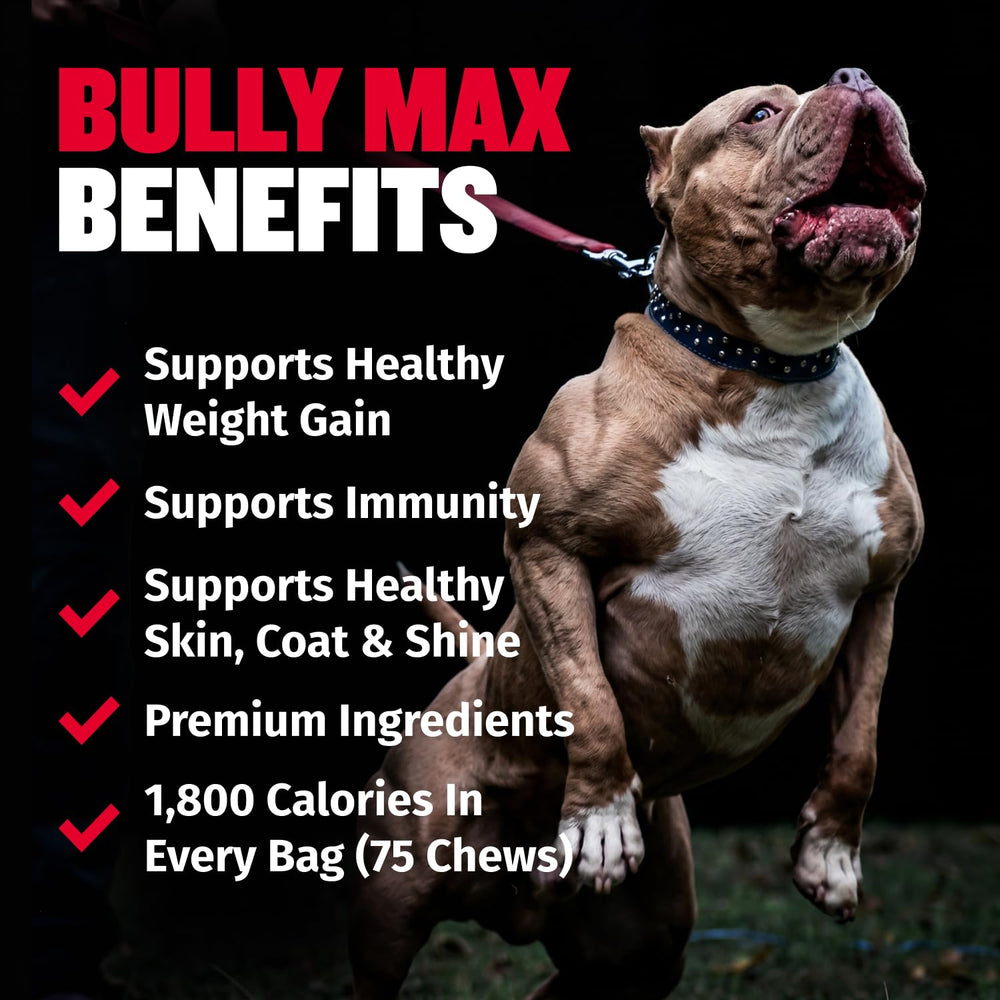 Bully Max gros plan sur la texture des bouchées, appétence maximale