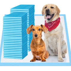 Bulubaky emballage avant montrant lot de 30 et avantage protection