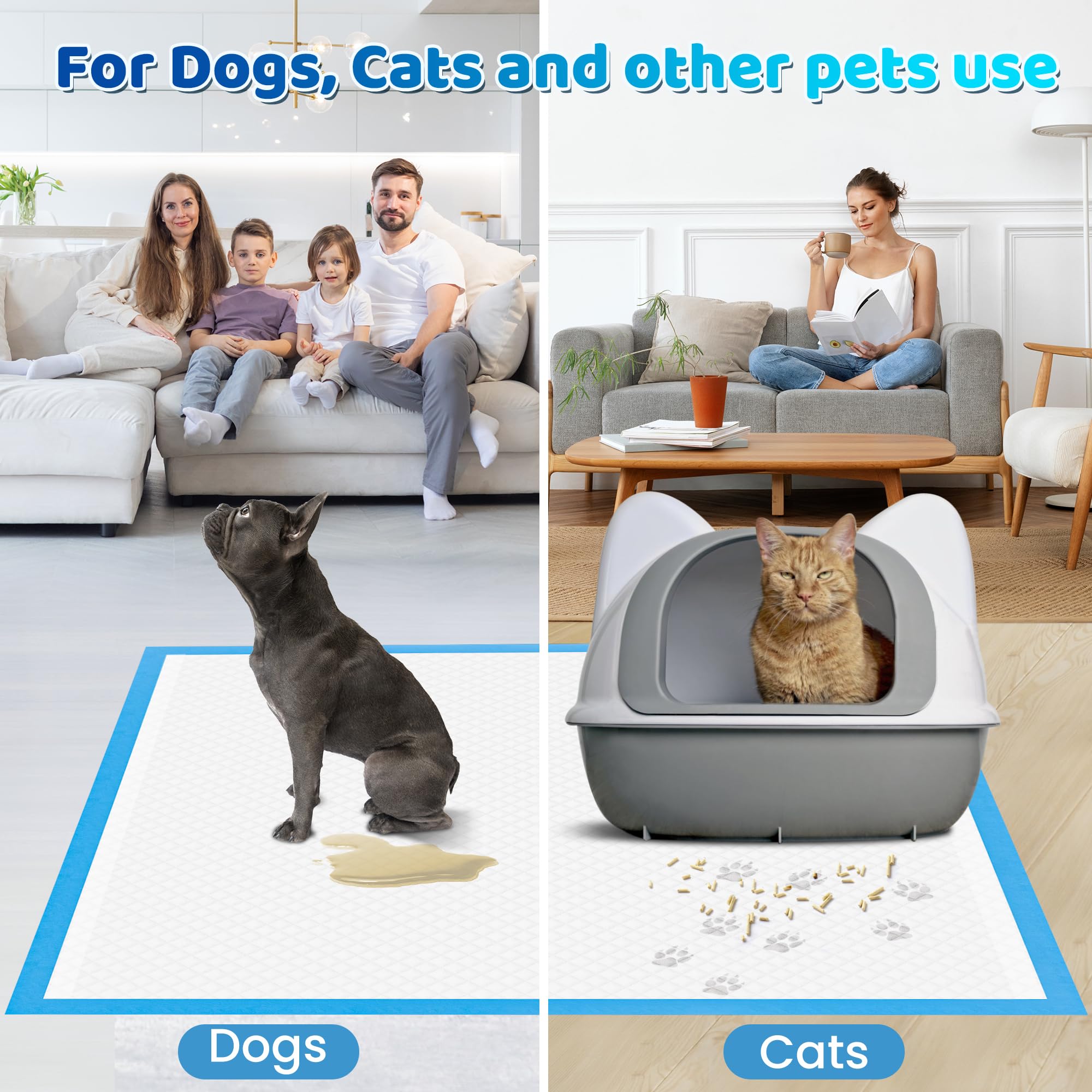 Bulubaky tapis en usage avec chiot, évite traces et dégâts